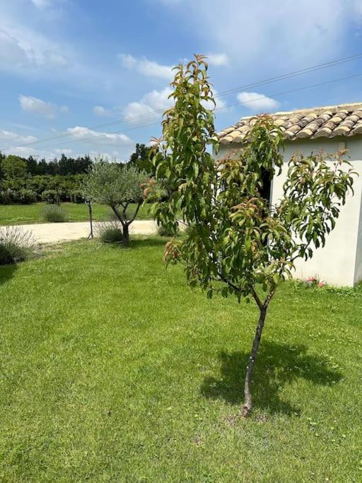 Villa Des Jacinthes Tarascón Exterior foto